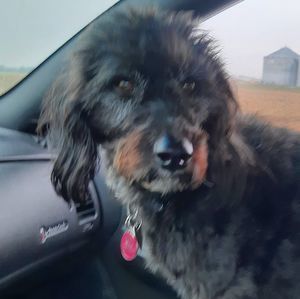 Meet your Posher, Jodee